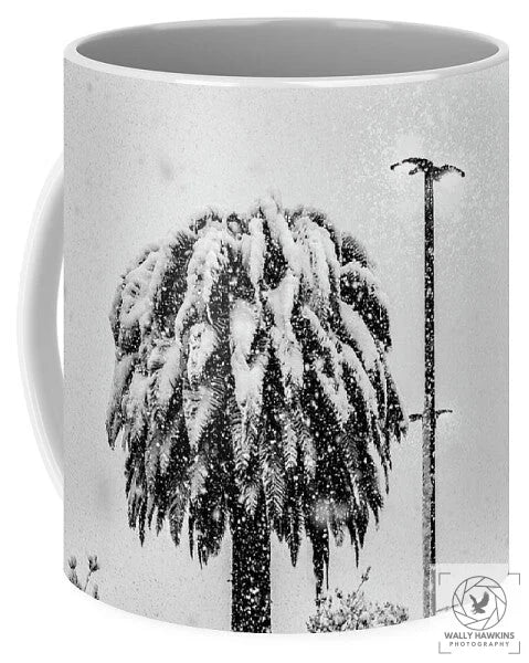 African oil palm - Mug Pixels