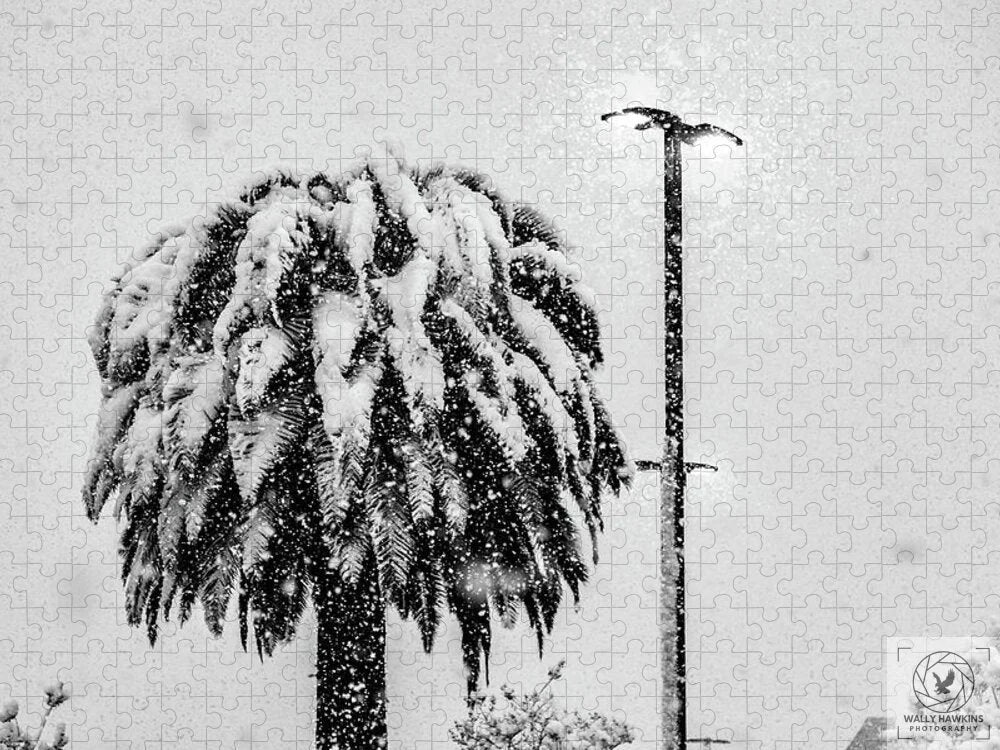 African oil palm - Puzzle Pixels