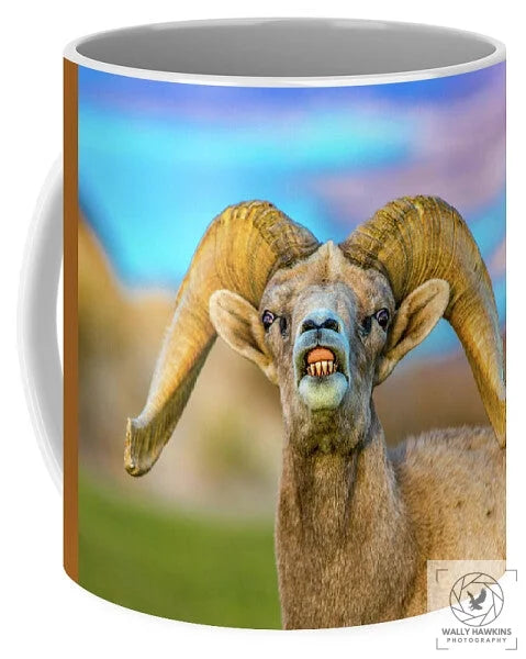 Big Horn Sheep - Mug Pixels