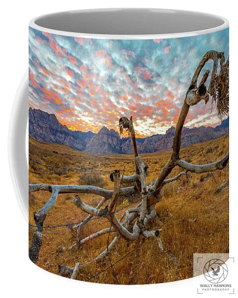 Buckhorn cholla - Mug Pixels