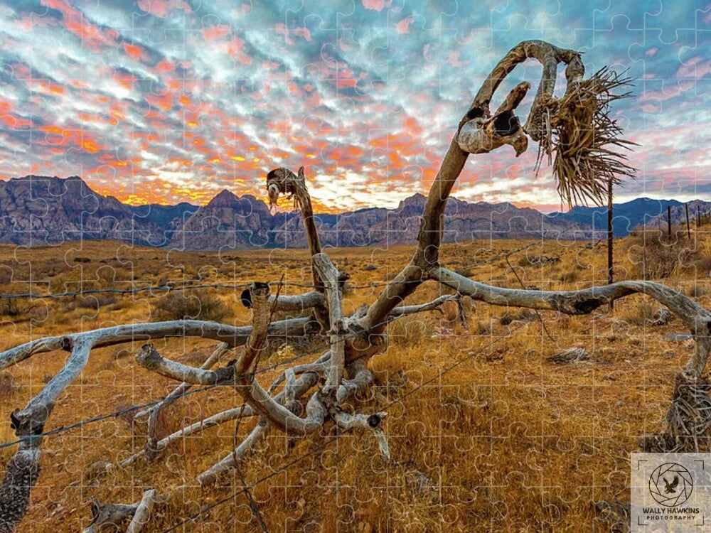 Buckhorn cholla - Puzzle Pixels