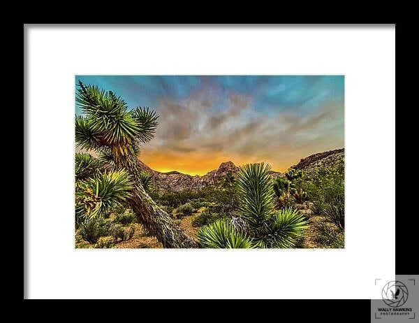 Joshua-tree - Framed Print Pixels