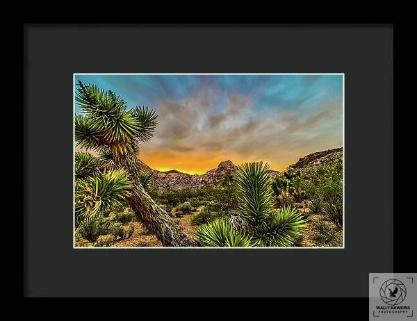 Joshua-tree - Framed Print Pixels