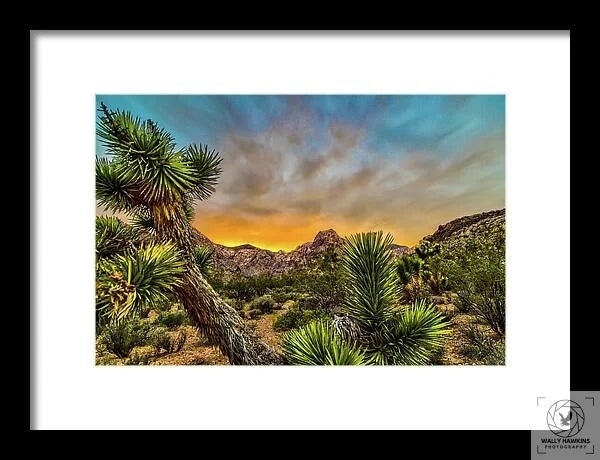 Joshua-tree - Framed Print Pixels