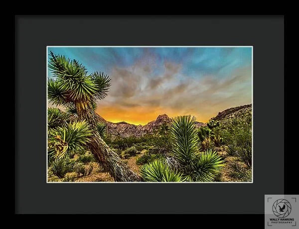 Joshua-tree - Framed Print Pixels