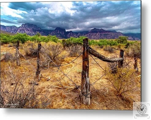 Monsoon  - Metal Print Pixels