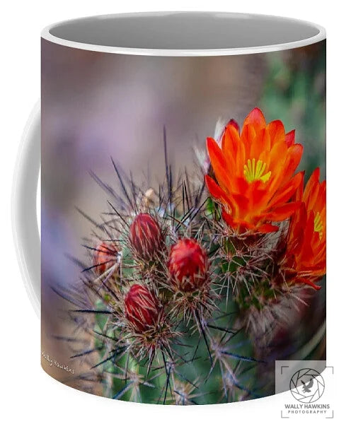 Orange Cactus Blossom - Mug Pixels