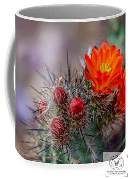 Orange Cactus Blossom - Mug Pixels