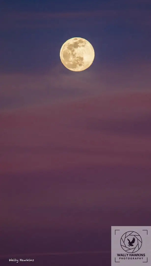 Moon Rise Wally Hawkins Photography
